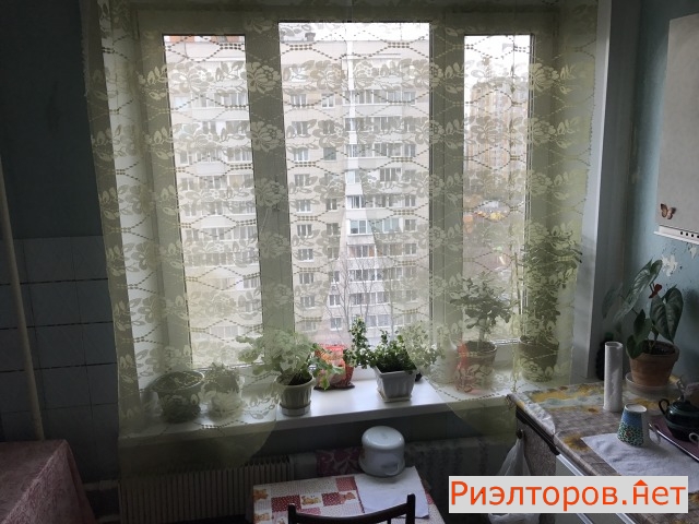 ������ ������� ����� ������ 1 (���� �12)