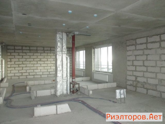 �� ��� ����� (���� �12)