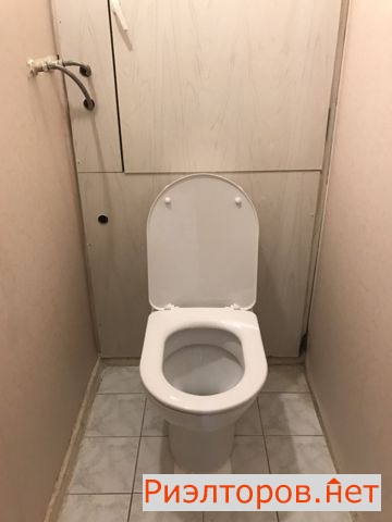 ����� �������� ����� �������� 41 (���� �22)