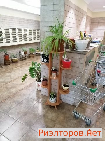 �� �������� ������ �������� (���� �2)