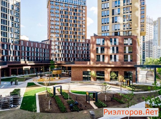 �� vander park ������ (���� �2)