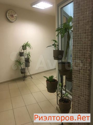������ �������� (���� �4)