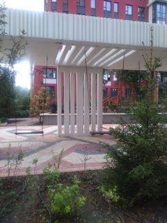 �� ����� ������ ������ ����������� (���� �13)