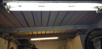 ������ ����� ��������� ��. (���� �5)