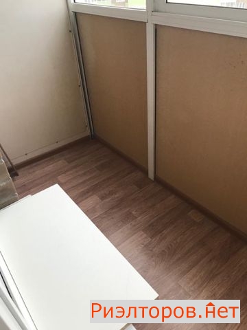 ����� �������� ������� ����� ������ (���� �13)