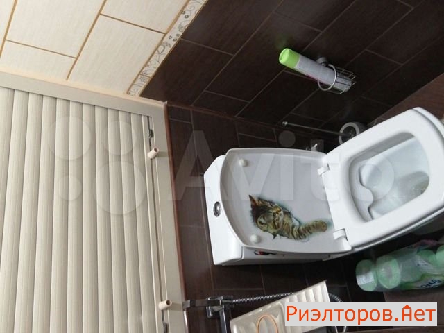 ������ ������� (���� �5)