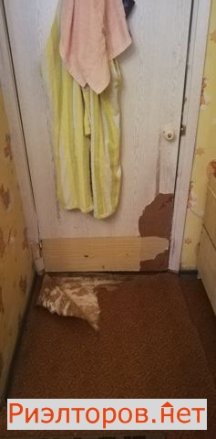 ����� ������� ����� ����� ���� 14 2 (���� �3)
