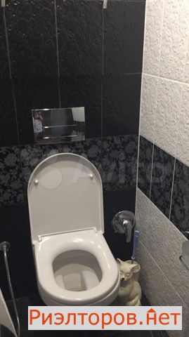 ������ �������� ����� ��������� 8�1 (���� �5)