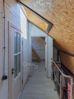 ����������� the loft (���� �11)