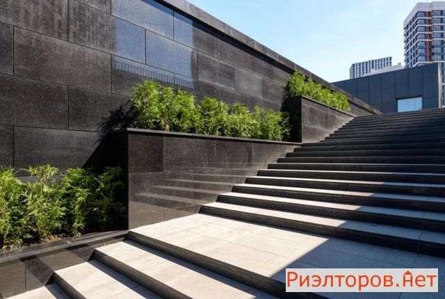 �� freedom ���� (���� �3)