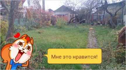 ������ ��� � ����� ���� (���� �5)