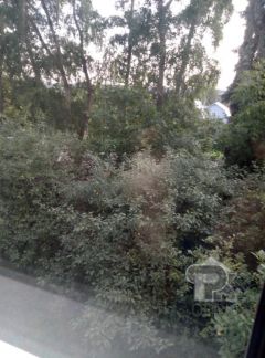 ������ �������� ��������� ������� 1 1 (���� �2)