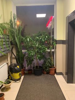 ������ �������� ����� ����� ���� 7 (���� �13)