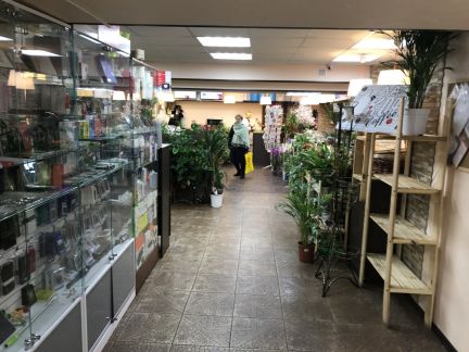 ����� ��������� ���������� ���������� ������ �������� 18 38 (���� �3)