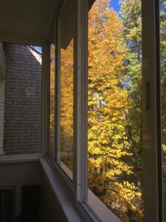����� �������� ����� ���������� ������� ������������� ����� 4�3 (���� �4)