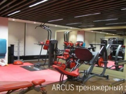������ ���� � �� ARCUS (���� �8)