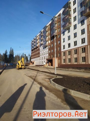 �� ������ ������ 2019 (���� �14)