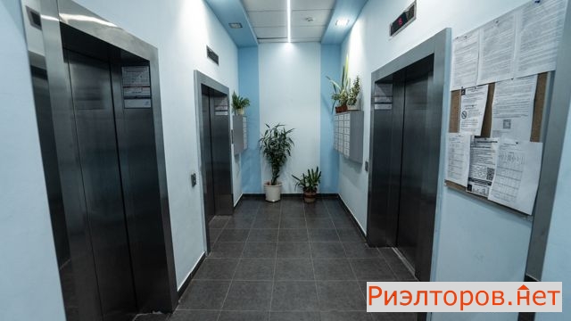 �� m house ������ (���� �14)