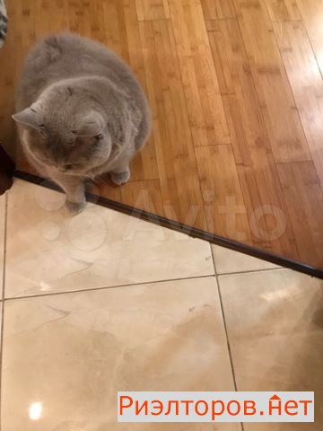 ������ �������� ������� ����� 32 (���� �16)