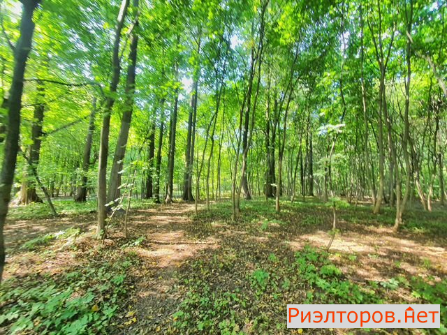 купить квартиру дмитровское шоссе 122гк1 (фото №6) купить квартиру дмитровское шоссе 122гк1 (фото №6)