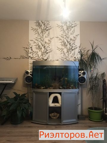 ����� �������� �� ��������� ������� 5 (���� �4)