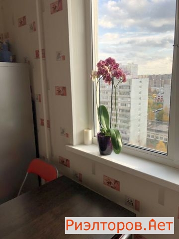 ������ �������� �1606 (���� �4)