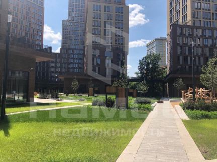�� vander park ����� ������� (���� �2)