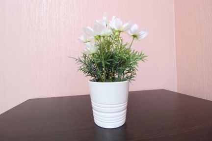 ����� �������� ��������� ����� �������� ������ 28�2 (���� �3)