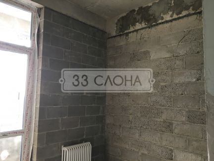 ������� ������� 15 ������ �������� (���� �5)