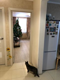 ����� �������� ��������� ��������� ����� 4�3 (���� �12)
