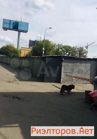 ������ ����� (���� �7)