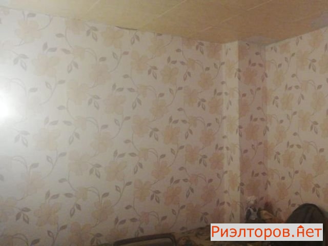 ������ �������� �������� 15-� �� 39�3 (���� �5)