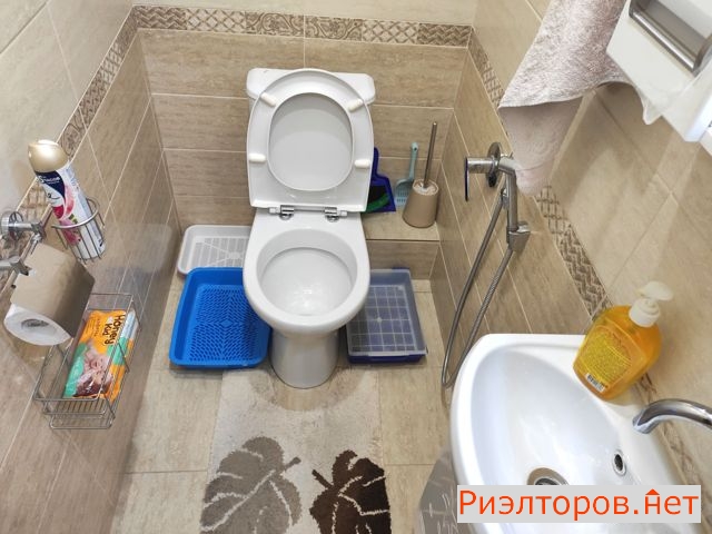�� ���������� �������� � �������� ������ (���� �5)