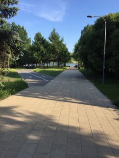 �� �������� ������ ������� ���������� (���� �5)