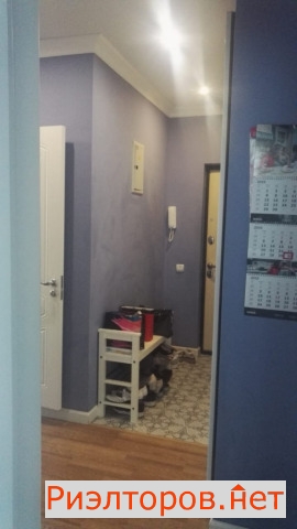 ������� ����������� �� ���������� ���� (���� �5)