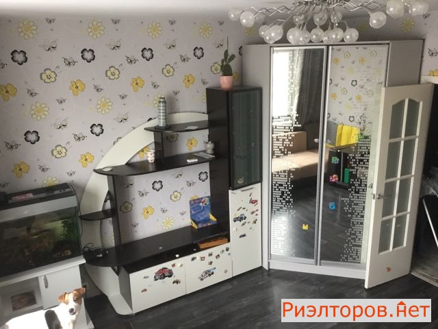 ����� �������� ����� �������� 19 (���� �5)