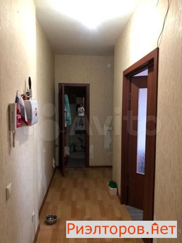 ������ (���� �7)