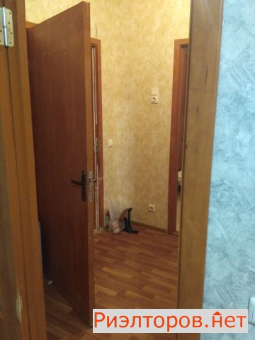 ����� �������� ����������� ����� 11�11 (���� �5)