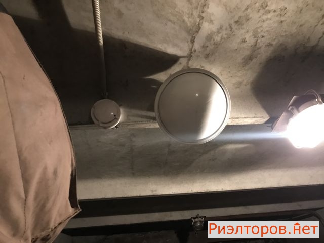 ������ ����� � ��� ���� (���� �5)