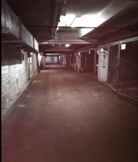 ������ ����� �� �������� 46 (���� �4)