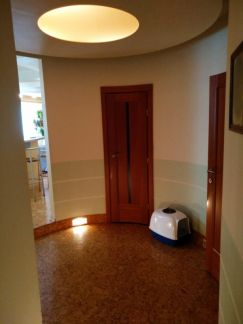 ������ �������� �. ����� ������������ 92�2 (���� �13)