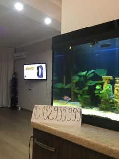 ����� �������� ��������� �������� ��������� 31�3 (���� �2)