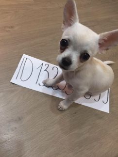 ����� �������� ��������� �������� ��������� 31�3 (���� �8)