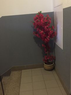 ����� �������� ������������� ����� 19 (���� �19)