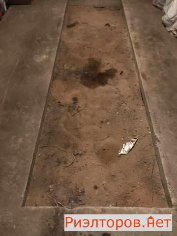 ������ ����� � ��� ���� (���� �4)