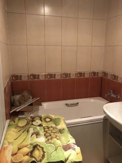 ������ �������� �� �������� 20 (���� �5)