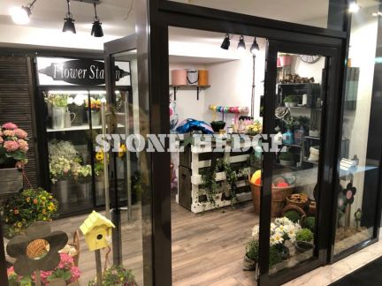 ������ ��������� ���������� ���������� � �� tribeca apartments (���� �19)