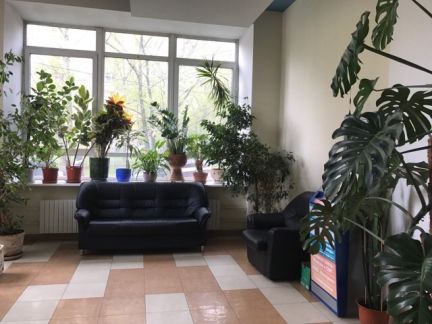 �� ��� ����� ������ (���� �2)