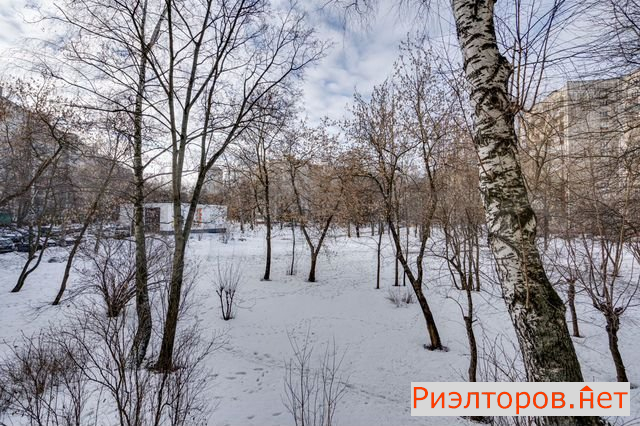 купить квартиру челюскинская улица 10к1 (фото №9) купить квартиру челюскинская улица 10к1 (фото №9)