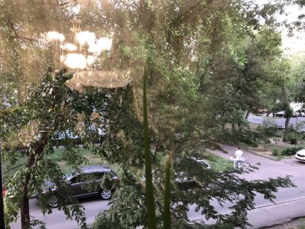 ������ �������� ����������� ����� 3 (���� �14)